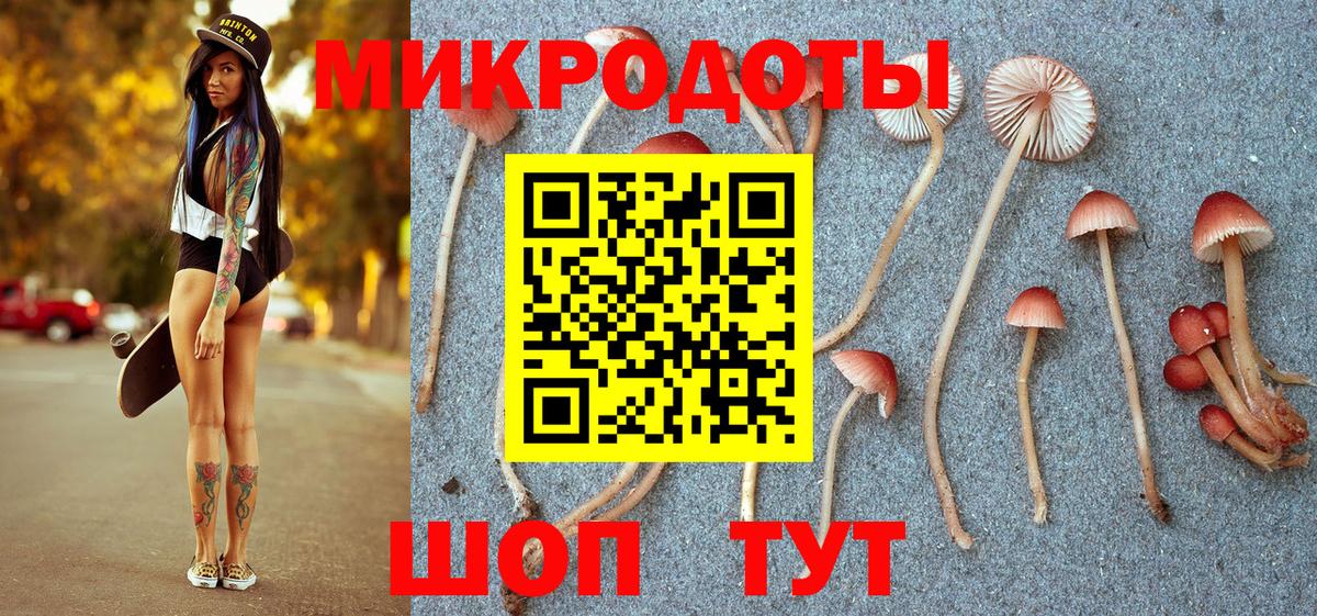 Прокопьевск  Псилоцибиновые грибы Magic Shrooms  Вход с VPN  наркотики  Псилоцибиновые грибы Psilocybe 