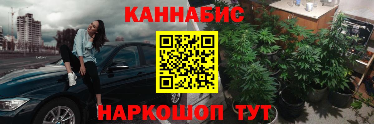 Бошки марихуана OG Kush Прокопьевск